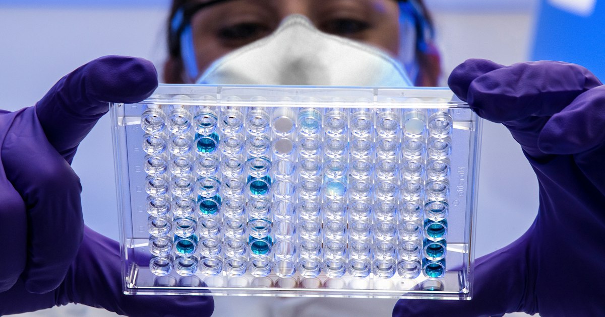 Mechano-growth factor: biology and marketed peptides