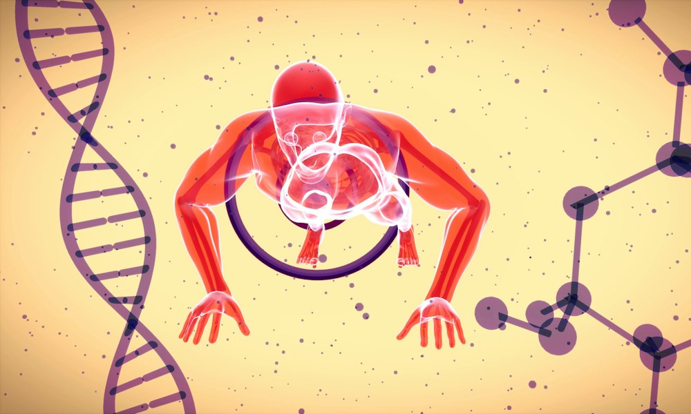 Mechano-growth factor: biology and marketed peptides